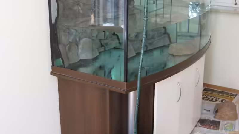 1. Teilfüllung von Frontosa (3)