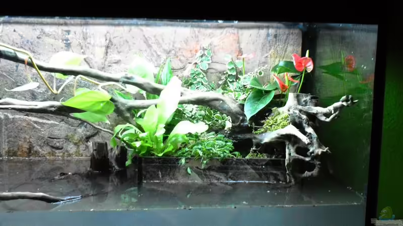 1. Versuch von schnitzler (14)