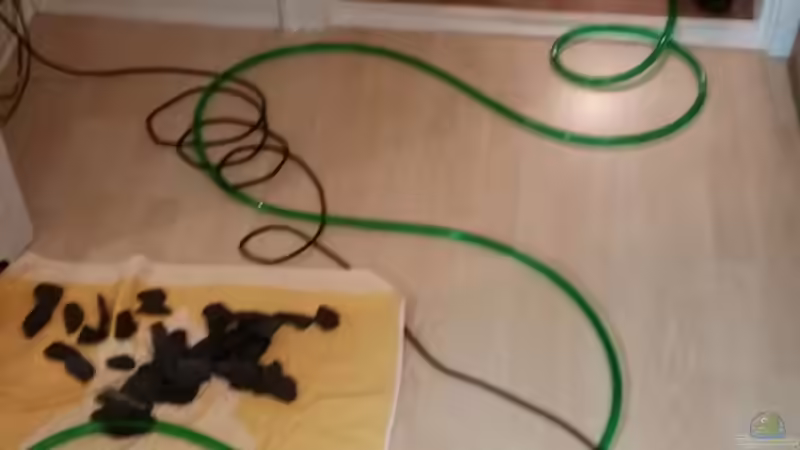 1. Wasserwechsel 25.10.2014 von Gunnar2060 (34)