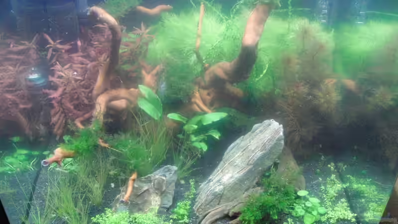 1.1.11 von Bjarke (4)