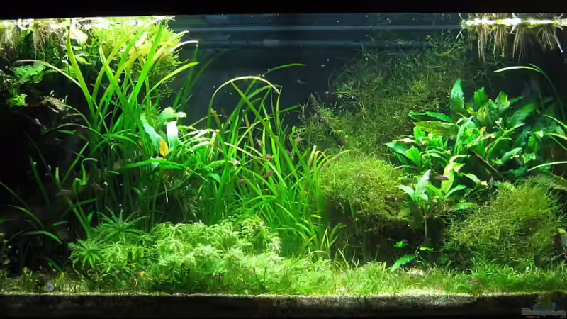 1.12.09 endlich ma wieder n neues bild für euch ;) von schnibbelxyz (1)