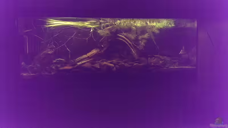 1.2.15 von Niklas125 (6)