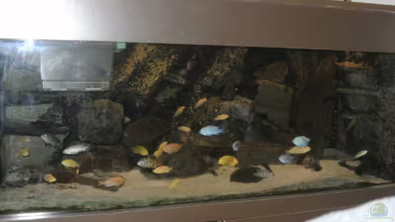 1.2011 von Yvonne-Alison De Bruijne (2)