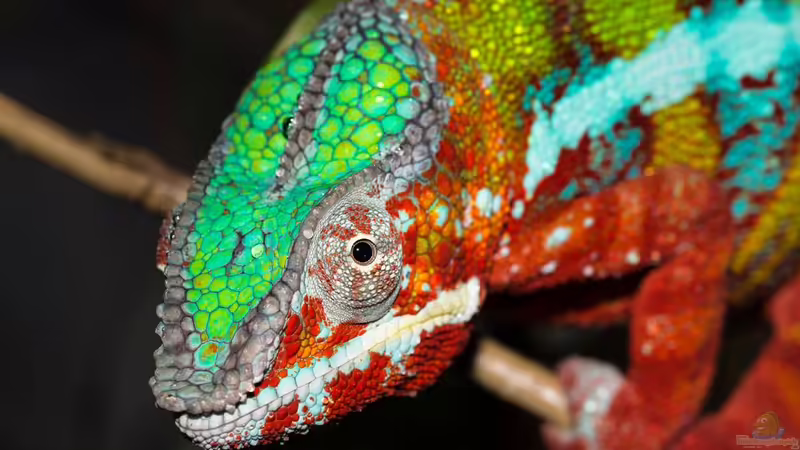 1/2016 von fischgarage (3)