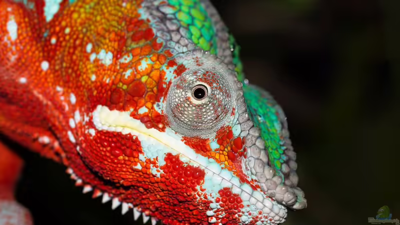 1/2016 von fischgarage (5)