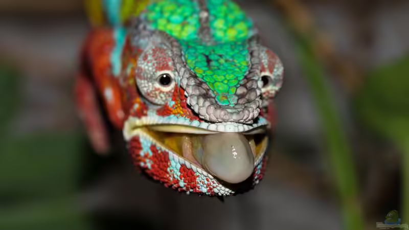 1/2016 von fischgarage (6)