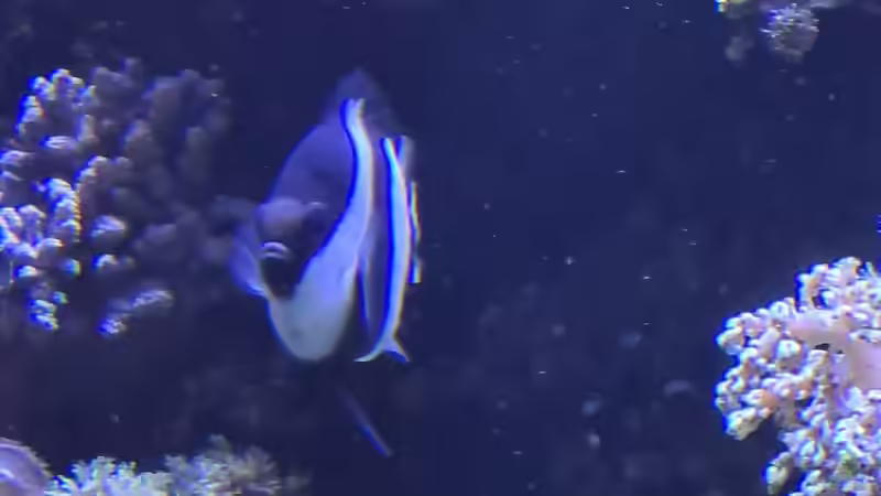 1.3 von Martinerft (10)