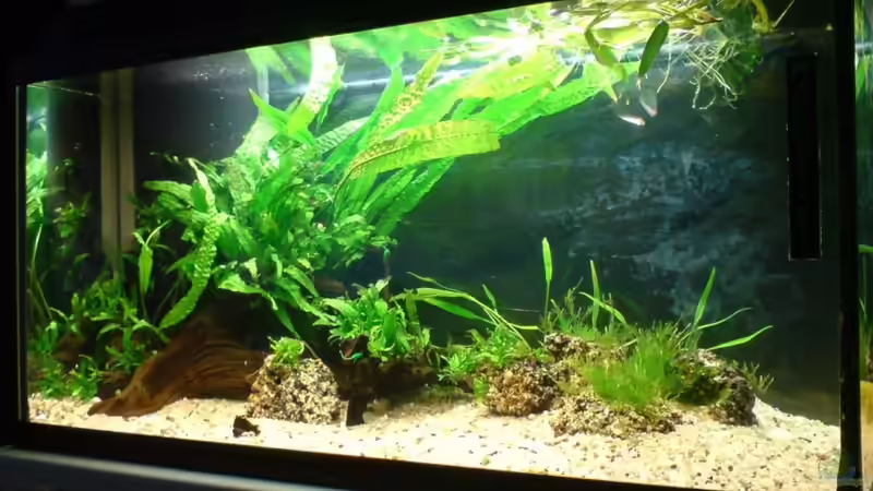 1.4.11 von timme (11)