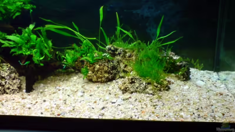 1.4.11 von timme (16)