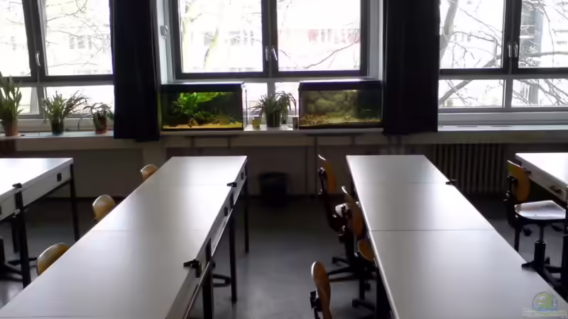 1.4.11 von timme (2)