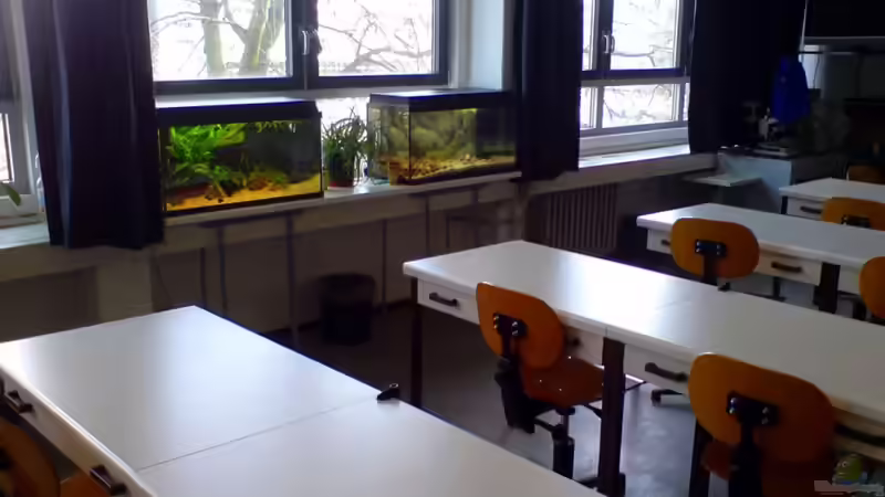 1.4.11 von timme (4)