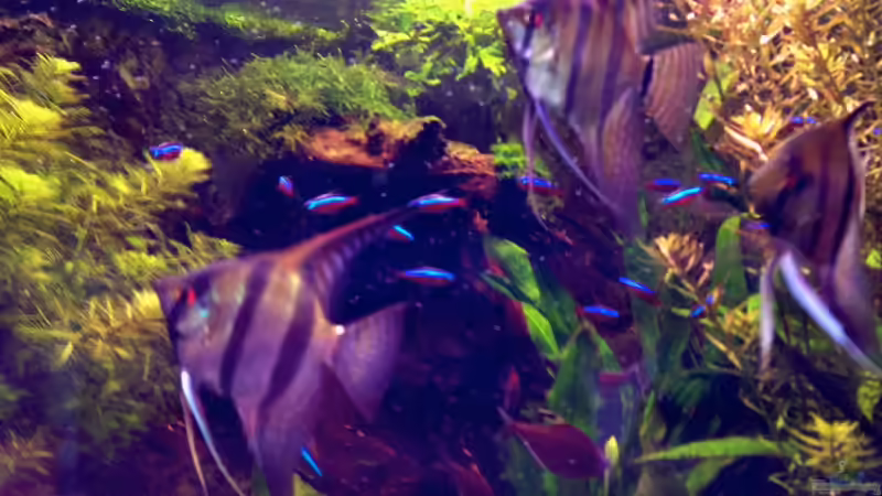 1.4.13 von Michel (19)