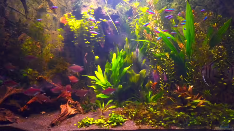 1.4.13 von Michel (2)