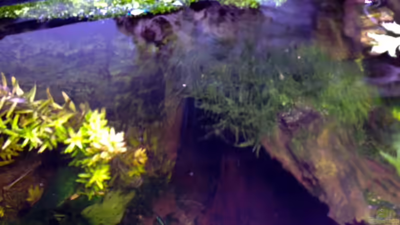 1.4.13 von Michel (21)