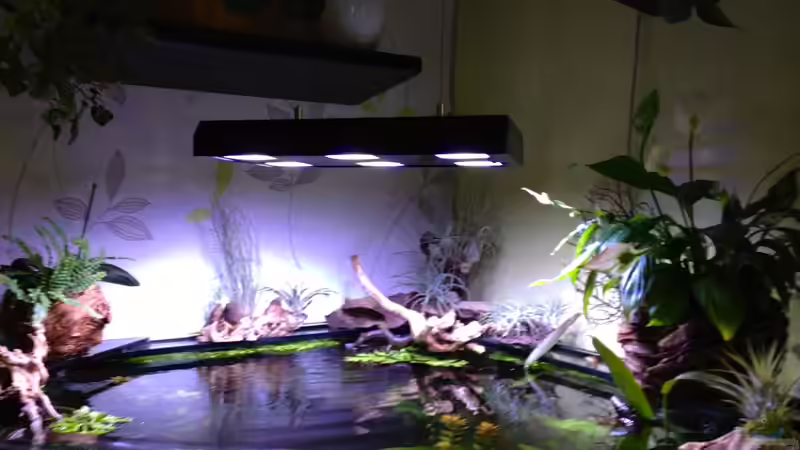 1.4.13 von Michel (27)