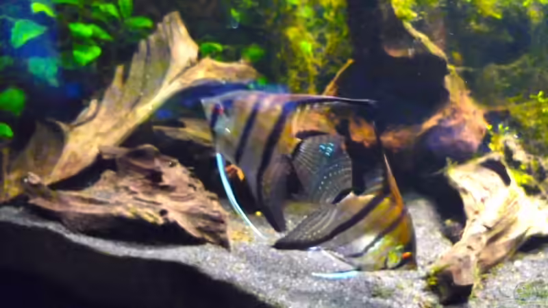 1.4.13 von Michel (29)