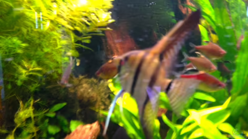 1.4.13 von Michel (31)