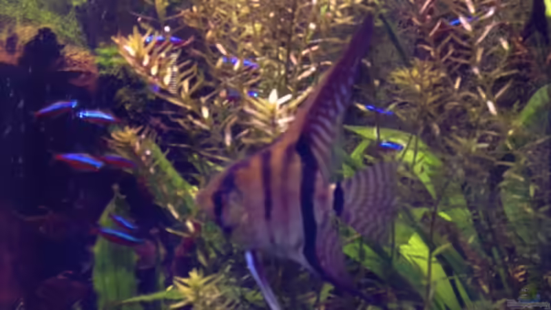 1.4.13 von Michel (37)