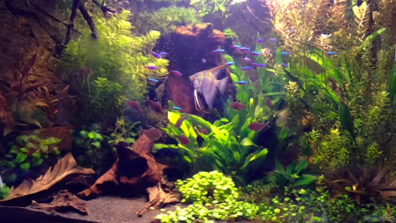 1.4.13 von Michel (4)