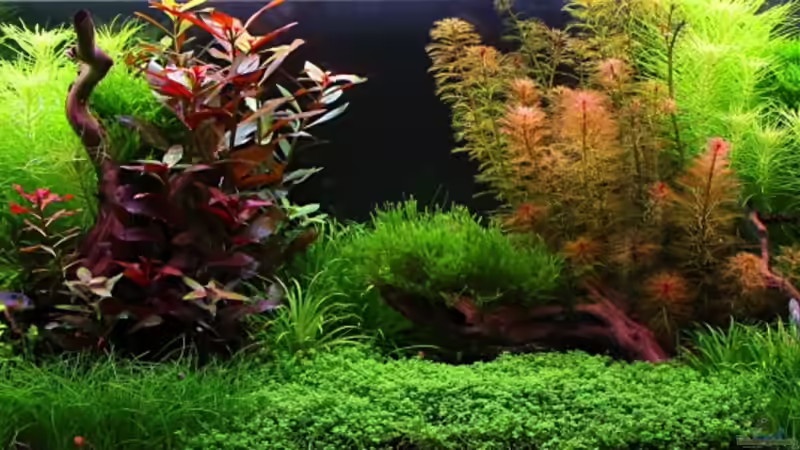 1.5.2013 von Bjarke (20)