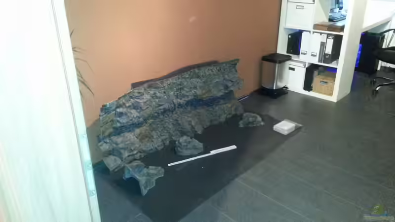 1,58x60 cm, sieht in echt fast doppelt so gut aus wie auf dem Foto! von ~MISCHA WILKEN~ (9)