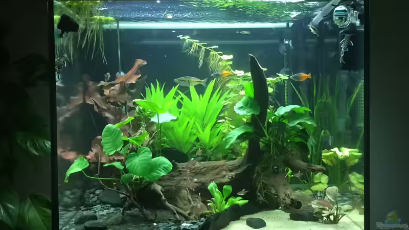 1.8. von moehriam (7)