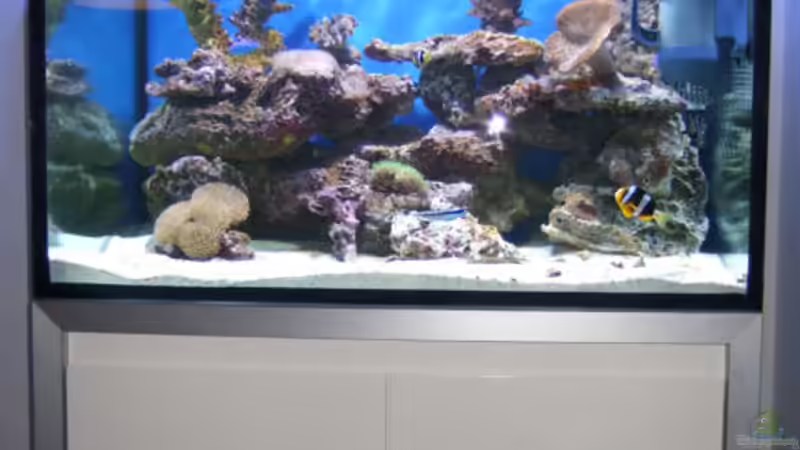 1.Dezember2007 von lex2lex (3)