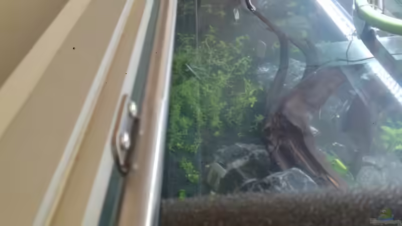 1.Foto fertig montiert von Niederbayer_Andee (17)