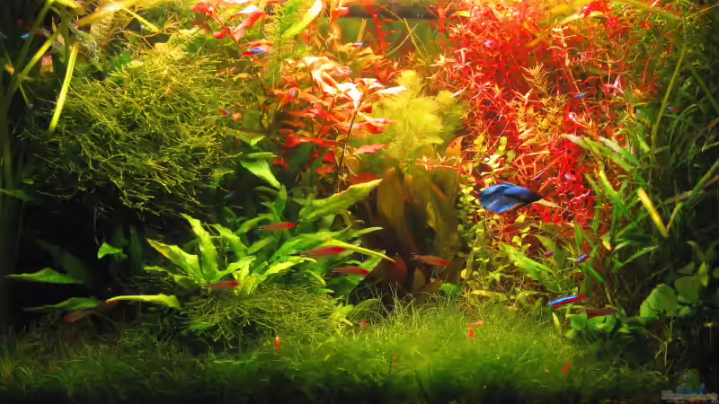 1 Hauptbild von Andreas Bauer (2)