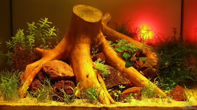 1 Monat mit Hintergrundbeleuchtung von Sini (2)