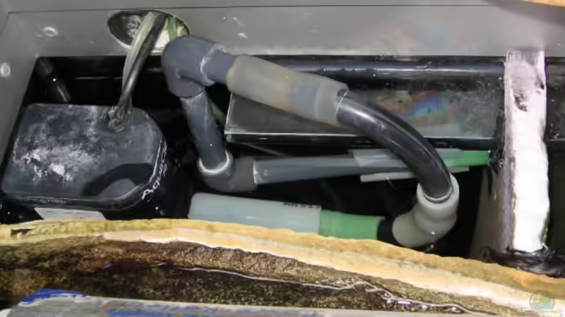 1 Pumpe Schlammkammer 28cm x 12cm Aqua Claer 70, 1500l/h von Axel Borck (7)