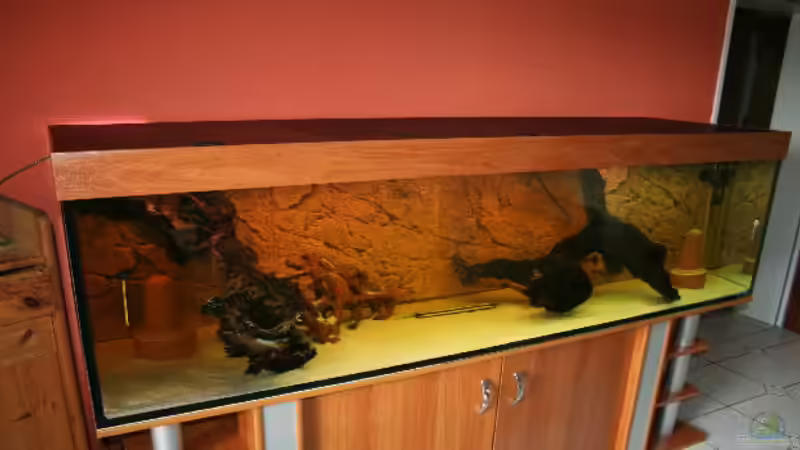 1.Schritt zu einem schönen Aquarium von Poseidon (2)