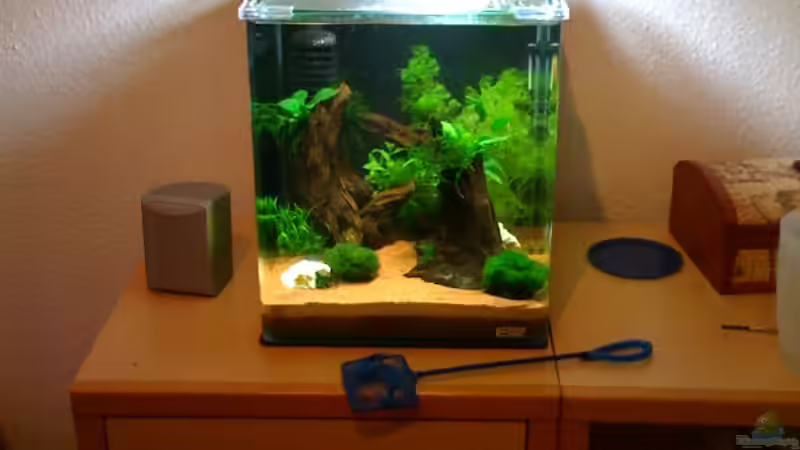 1 Stunde nach dem ´Ersten Wasser´ von Matthias Lehmann (2)