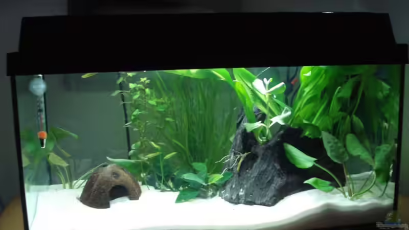 1 Tag nach der Einrichtung von Laura (3)