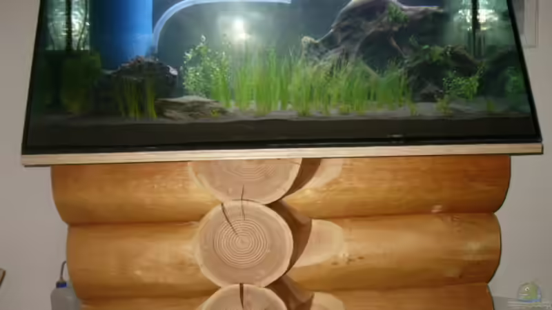 1 tag nach einrichtung von Oliver Gursky (1)