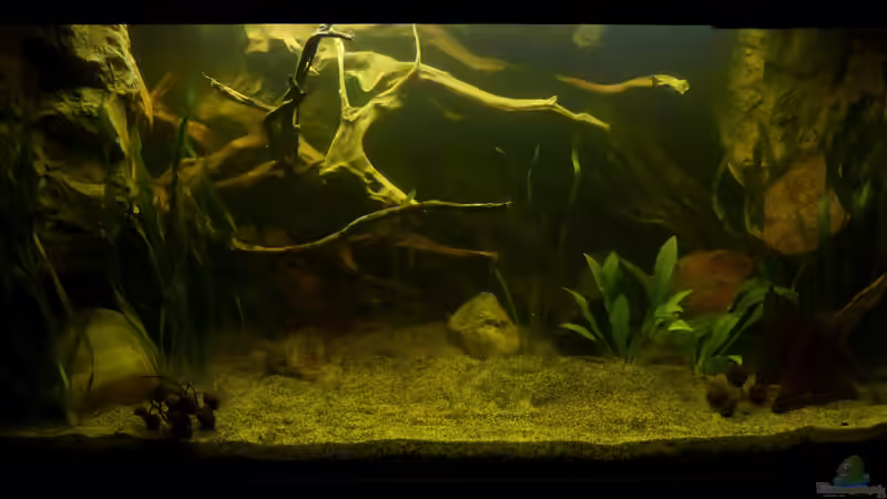 1 Tag nach Neueinrichtung 14.02.13 von ~Marco~ (11)