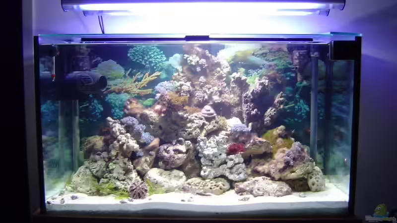 1 Tag später Steine drin und Trübungen sind weg.schaut doch schon klasse aus^^ von Christian Schröter (6)