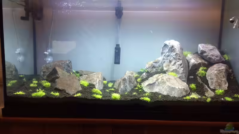 1 Tag von Frederic Schimmeck (2)