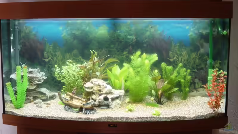 1 von Alexander Schilke (9)