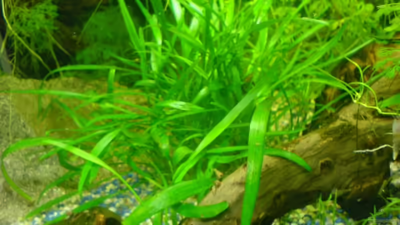 1 von Joschka Bienhüls (3)