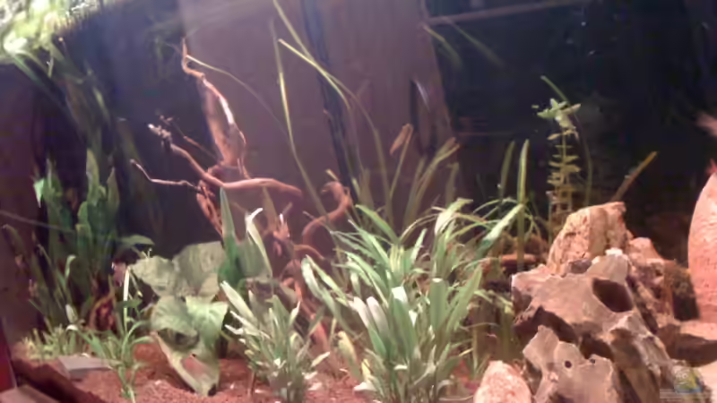 1 von Jürgen Müller (1)