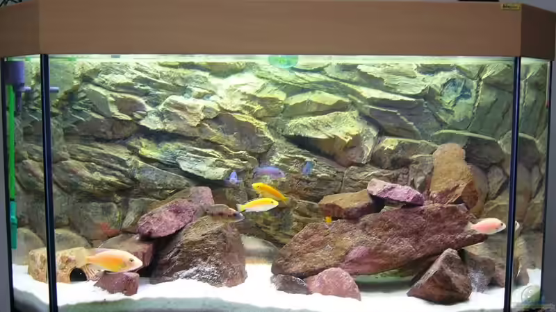 1 von Michael Fischer (5)