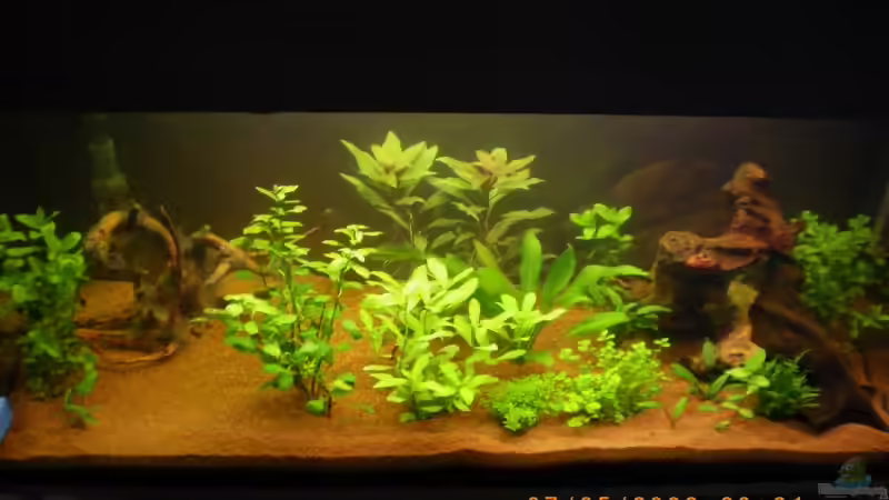 1.Woche des Einlaufens von Manuel Well (4)