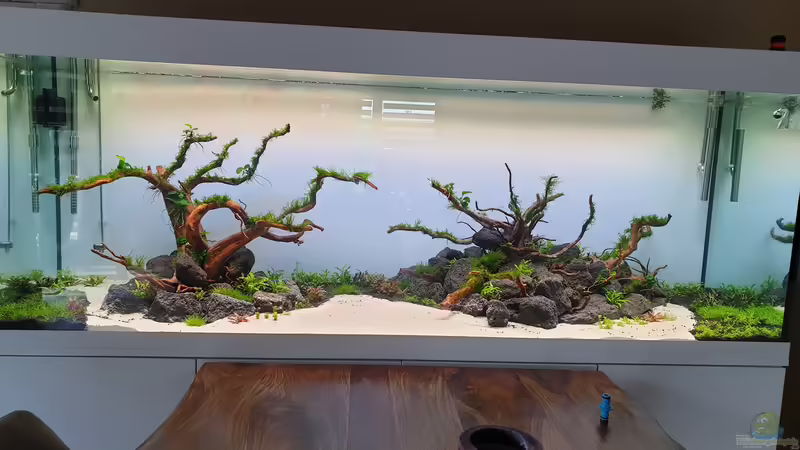 1 Woche Laufzeit  von Tobi2013 (28)