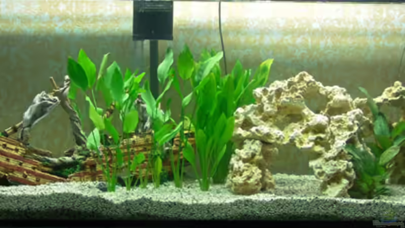 1 Woche nach Befüllung