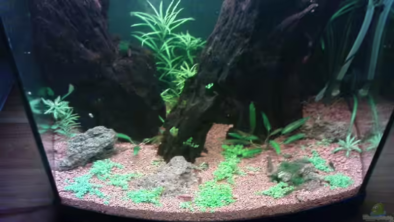 1 Woche nach dem Einrichten von Jens Hug (3)