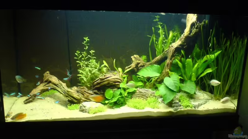 1 Woche nach neu-einrichtung