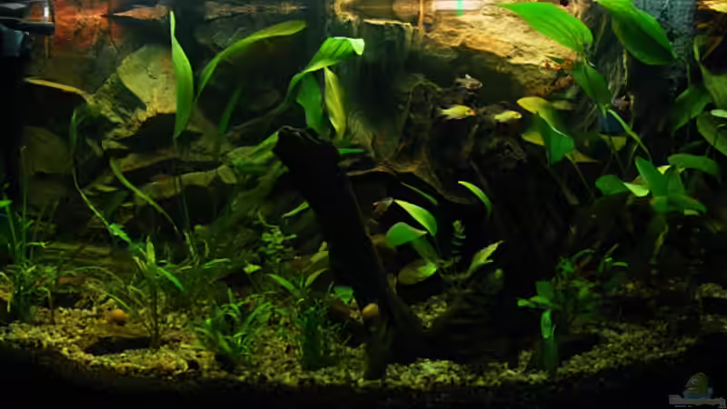 1.Woche nach Neueinrichtung