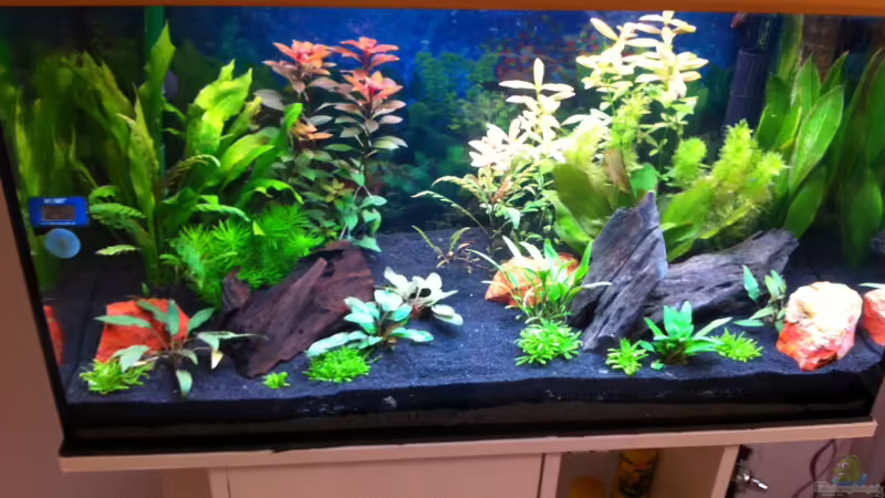 1 Woche von Nastassja&Mario T (4)