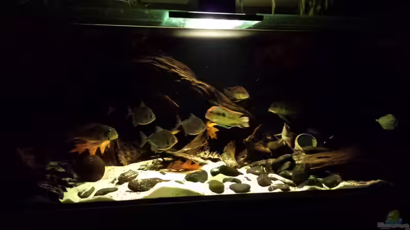 1 x 8 watt mittig von NRW (12)